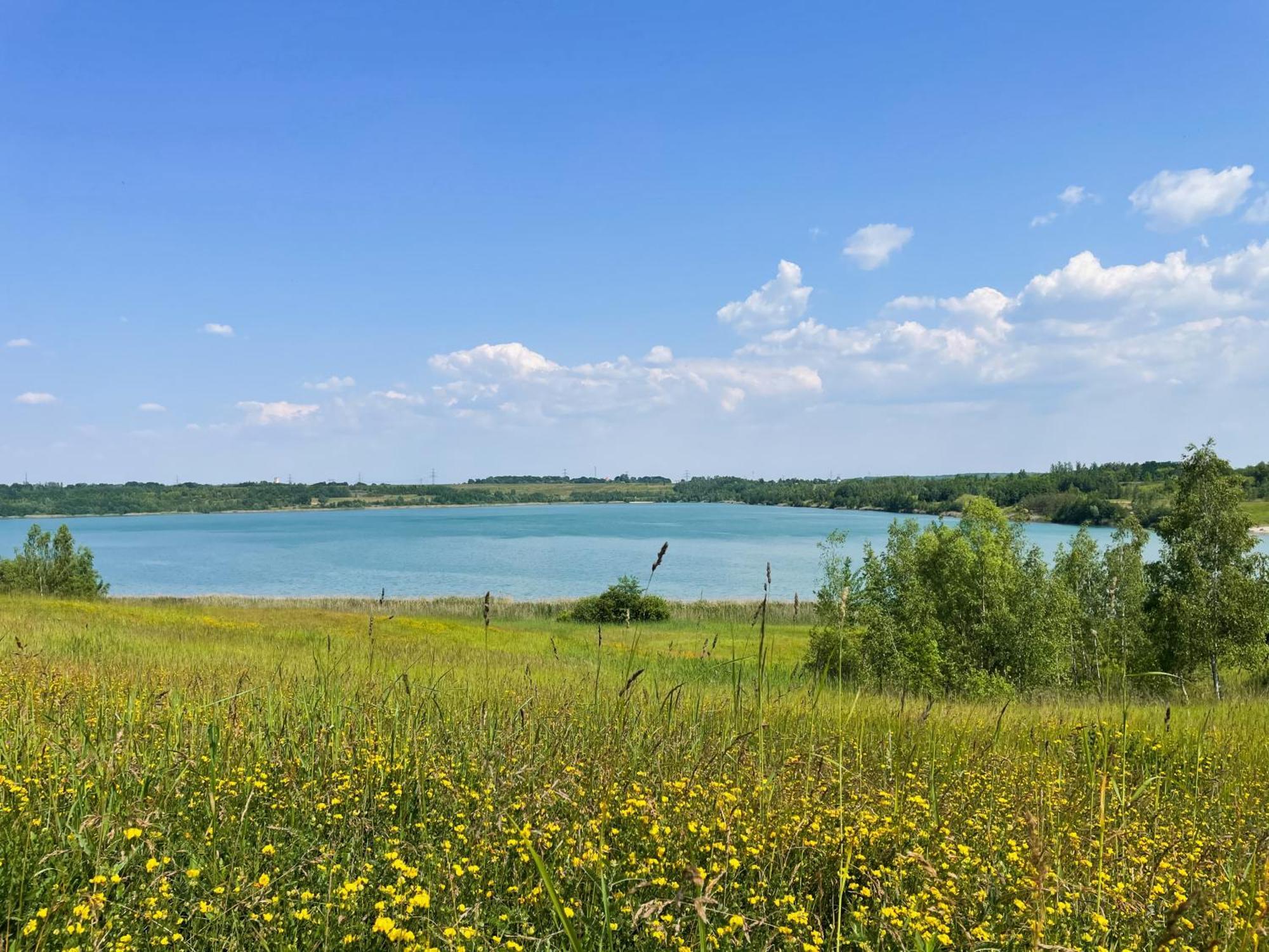 Haus Im Schilf 2 - Ferienwohnungen Am Hainer See Bei Leipzig Neukieritzsch Dış mekan fotoğraf